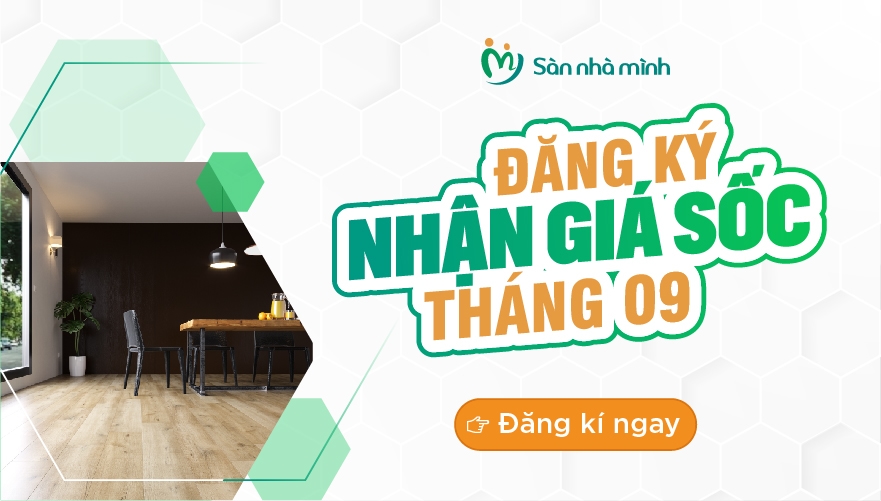 Popup khuyến mãi