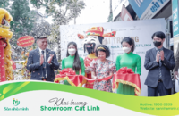 Khai trương showroom Sàn Nhà Mình Cát Linh & lễ ký kết hợp tác Vasaco - Dongwha - Royal Crystal