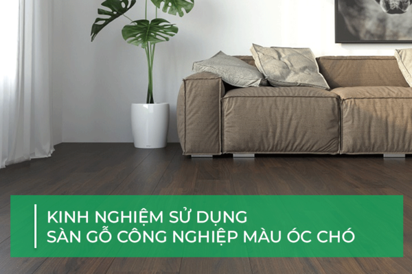 Kinh nghiệm sử dụng sàn gỗ công nghiệp màu óc chó