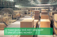Tham quan nhà máy sản xuất sàn gỗ công nghiệp