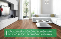 Sàn gỗ công nghiệp màu óc chó: Sang trọng & thời thượng