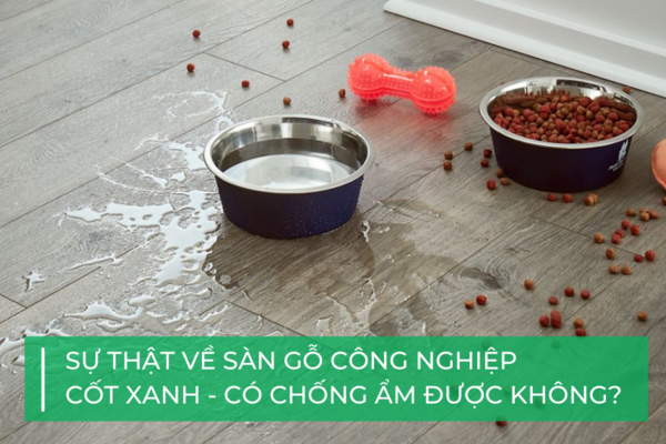 Sàn gỗ cốt xanh chống ẩm: Đừng để tiền mất, tật mang