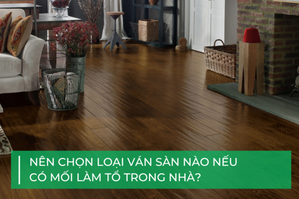 Nên chọn loại ván lót sàn nào nếu có mối làm tổ trong nhà?