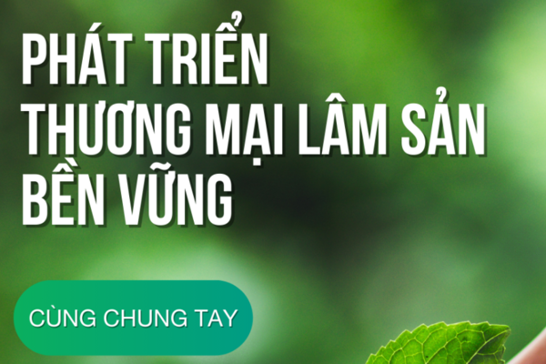 Sàn Nhà Mình tham gia dự án phát triển thương mại lâm sản bền vững
