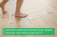 Cách khử mùi nội thất khi trời nồm ẩm