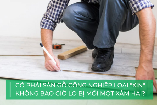 Lầm tưởng về sàn gỗ công nghiệp: Có thể chống mối tuyệt đối?
