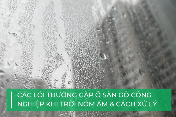 Các lỗi thường gặp ở sàn gỗ công nghiệp khi thời tiết nồm ẩm