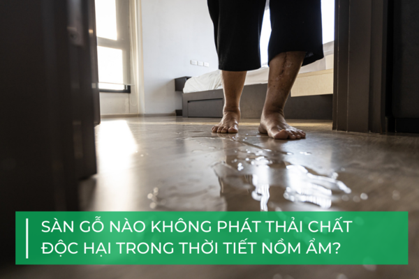 Sàn gỗ nào không độc trong mùa nồm?