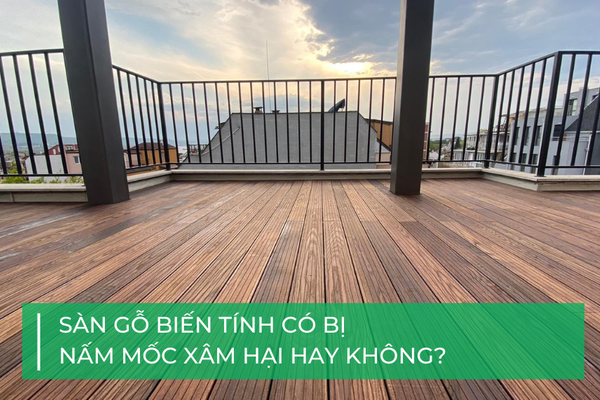 Sàn gỗ biến tính có bị nấm mốc không?