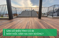 Sàn gỗ biến tính có bị nấm mốc không?