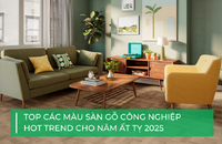 Màu sàn gỗ công nghiệp "hot trend" cho năm Ất Tỵ 2025