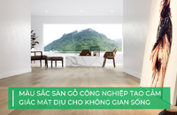 5 màu sắc sàn gỗ công nghiệp tạo cảm giác mát dịu cho không gian sống