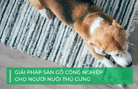 Giải pháp sàn gỗ công nghiệp cho người nuôi thú cưng