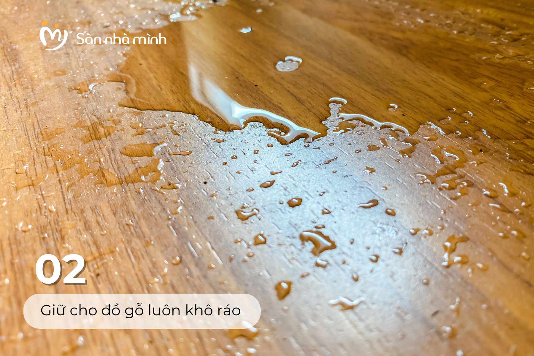 5 mẹo bảo quản nội thất gỗ hiệu quả mùa mưa bão 1