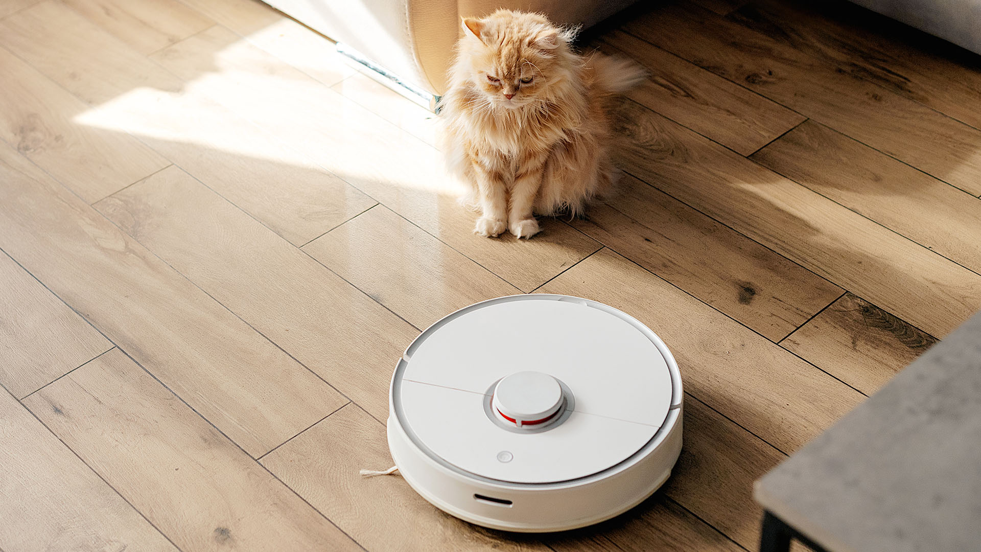 Dùng robot hút bụi có ảnh hưởng đến sàn gỗ công nghiệp không 1