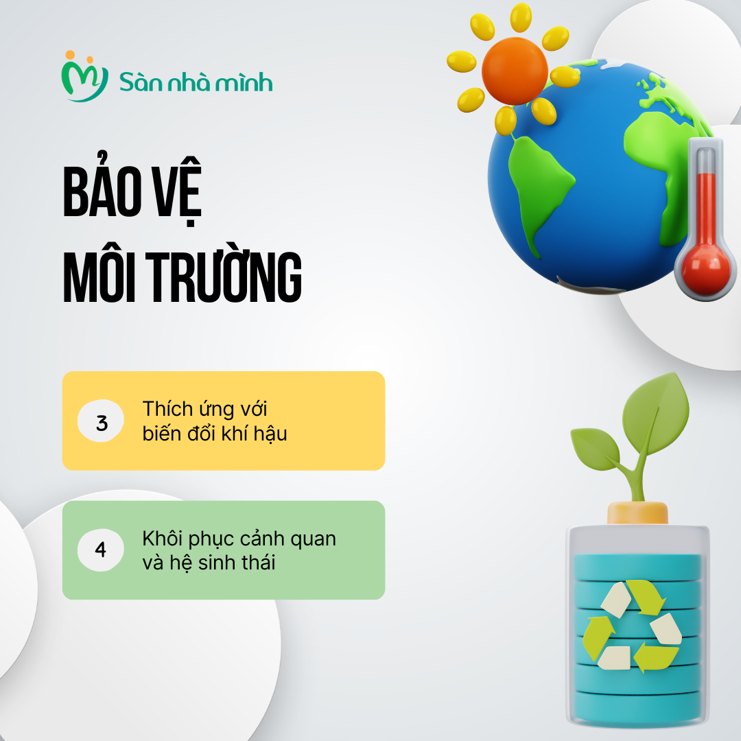 Sàn Nhà Mình tham gia dự án phát triển thương mại lâm sản bền vững 1