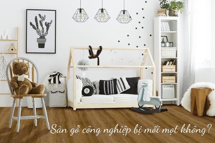 Thực hư chuyện sàn gỗ công nghiệp bị mối mọt
